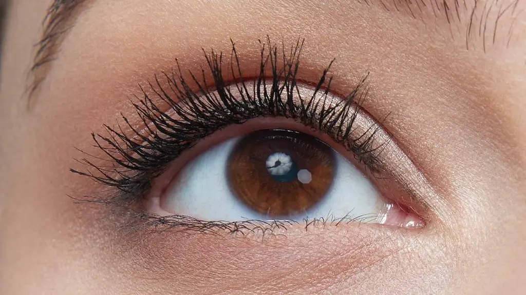 afterimage_beforeandafterslider_lashsensational_skyhigh_1600x900.webp