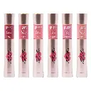 Labial 2 En 1 Brillo De Labios Labial Ushas