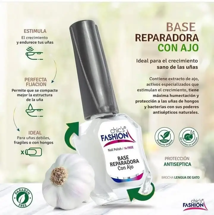 Bases Tradicionales Fashion