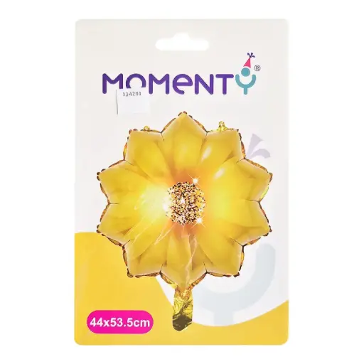 [ENC0000000000910ACC] Globos Momenty 47.5CM