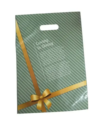 [ENC0000000001108ACC] Bolsa Grande