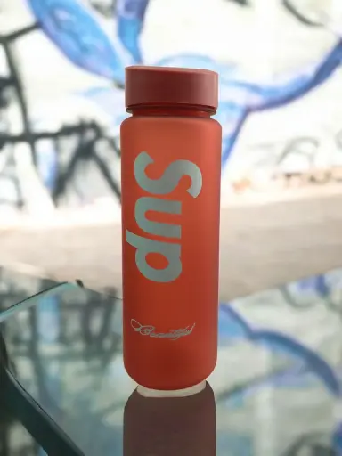 [CA3099] Termo Sport Sup  700ML 